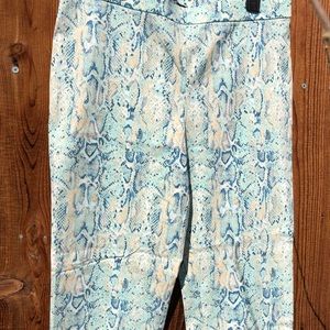 Style & Co dress pants Stretch